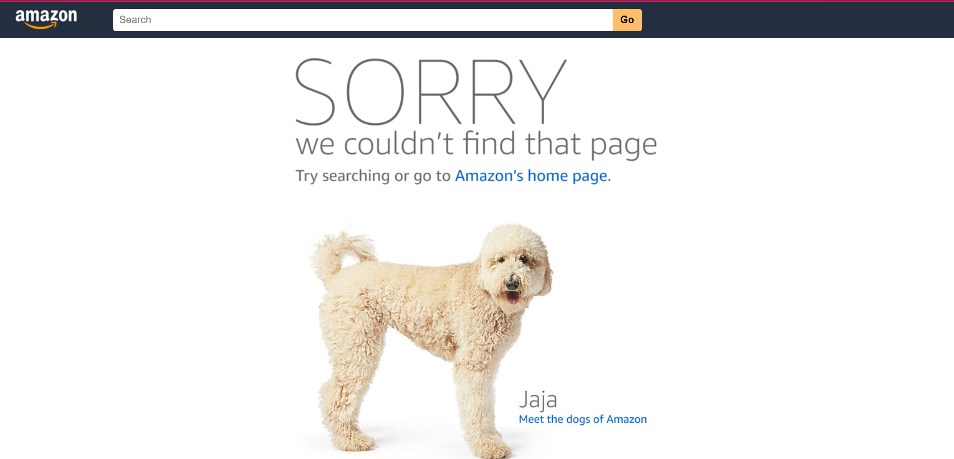 Amazon 404ページ